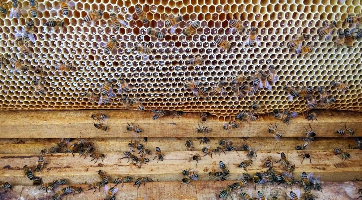 جدیدترین های وبلاگ