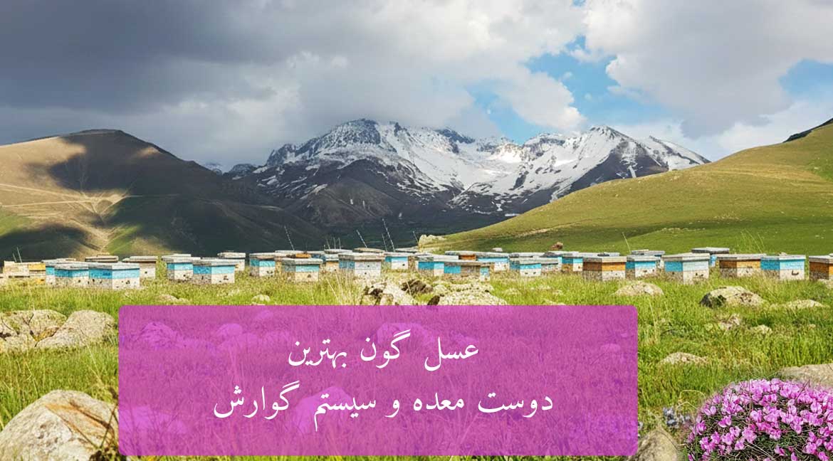 جدیدترین های وبلاگ