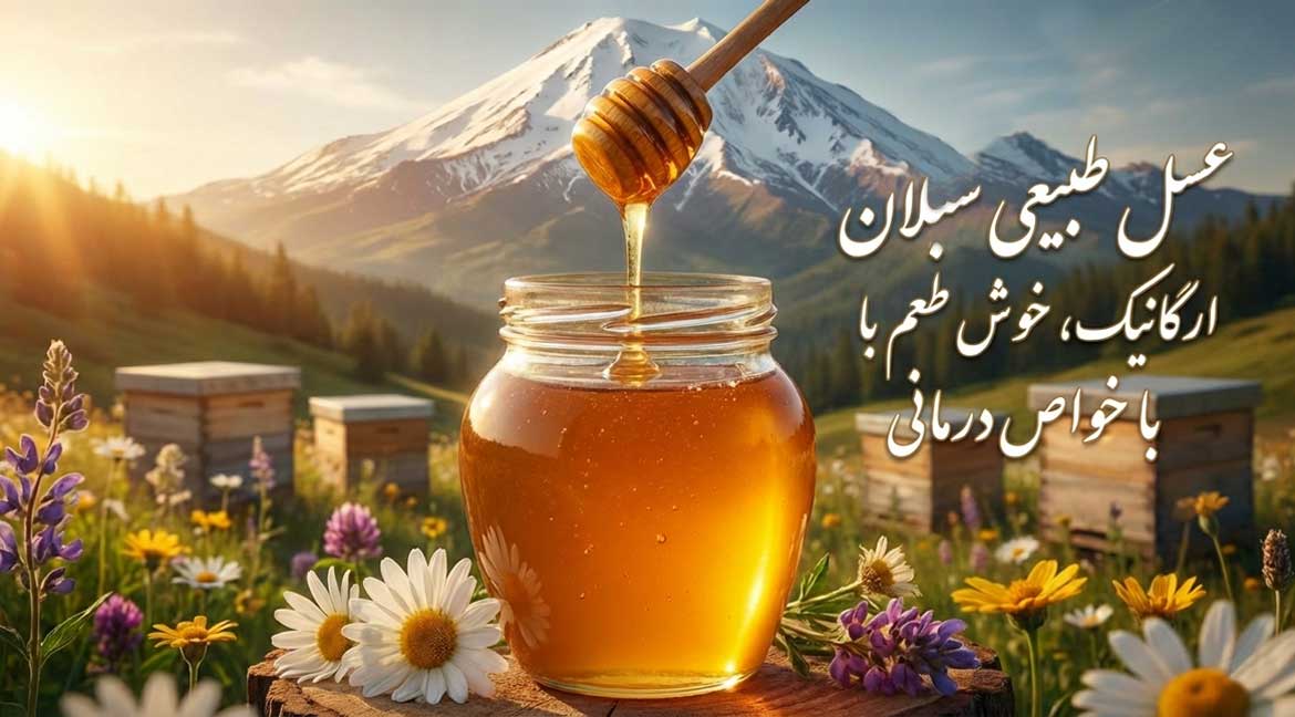 جدیدترین های وبلاگ