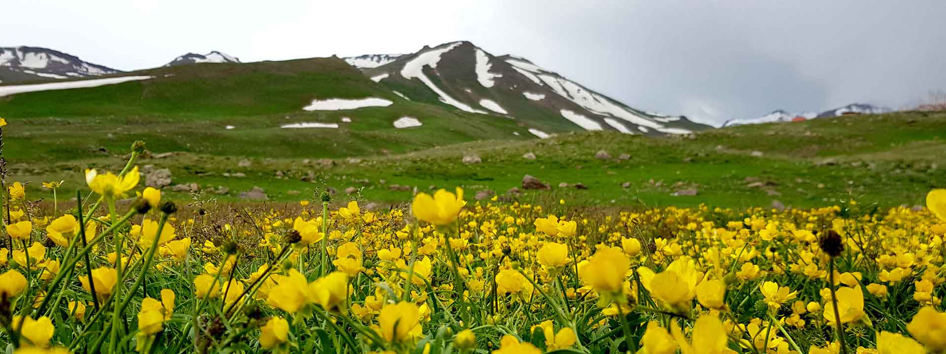 ییلاق منطقه سبلان